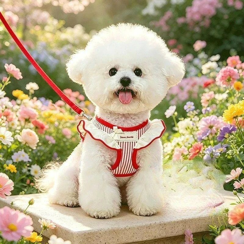 New Pet Cat Harness and Leash Set Adjustable - MyPetDollar.com