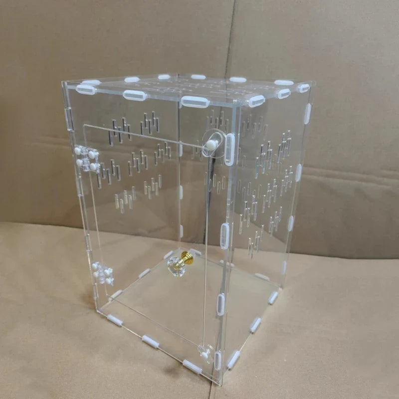Acrylic Feeding Box Square Transparent - MyPetDollar.com