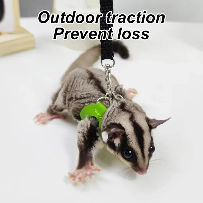 Set Escape-Proof Adjustable Collar for Pet - MyPetDollar.com