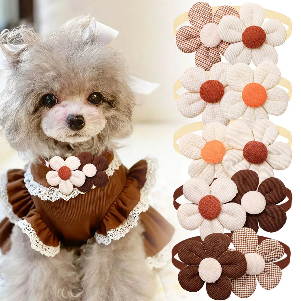 5/10PCS Dog Collars 2025New Brown Style - MyPetDollar.com
