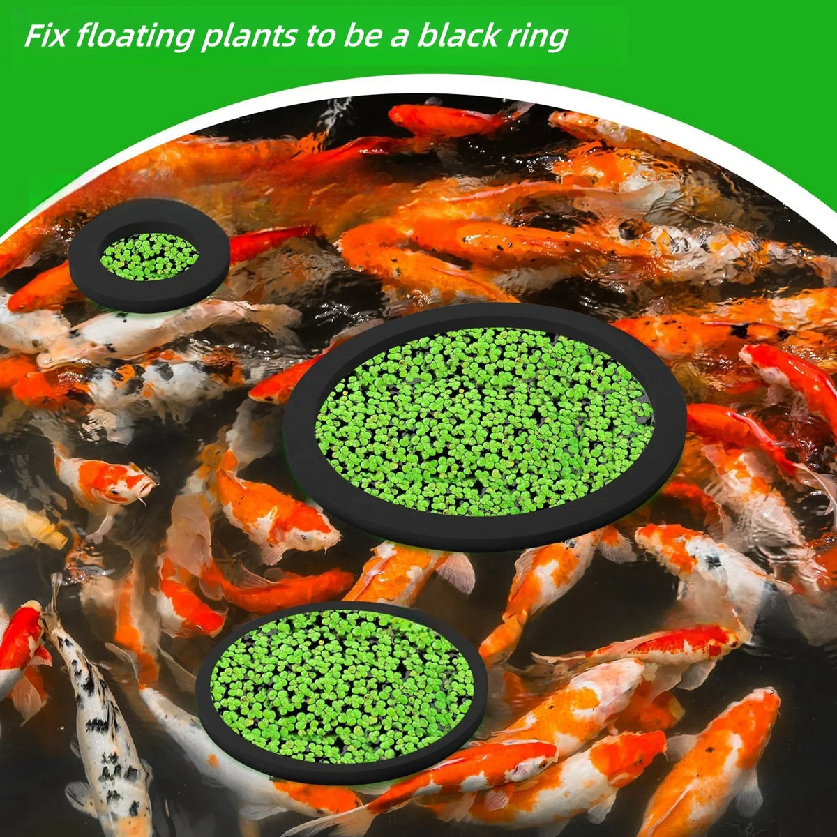5/10Pcs Aquarium Floating Plant Rings Fish - MyPetDollar.com