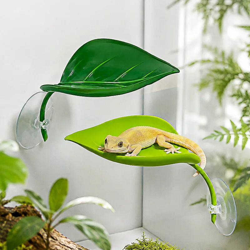 Reptile Leaf Bedding – Mini Suction Cup - MyPetDollar.com