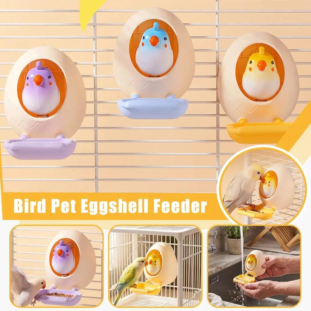 Creativity Parrot Eggshell Toy - MyPetDollar.com