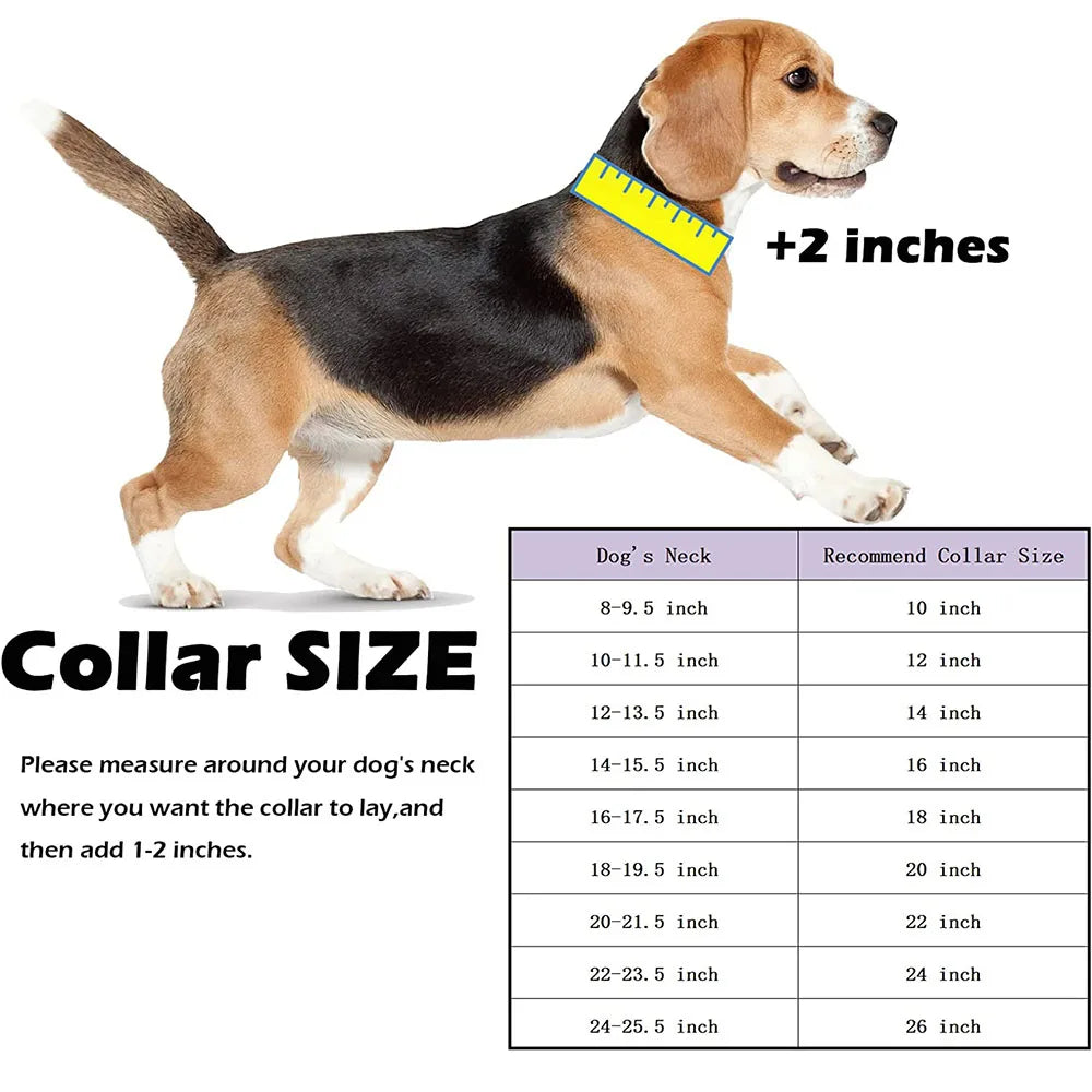 Dog Chain Collar Cuban Link Dog Collar 18K - MyPetDollar.com