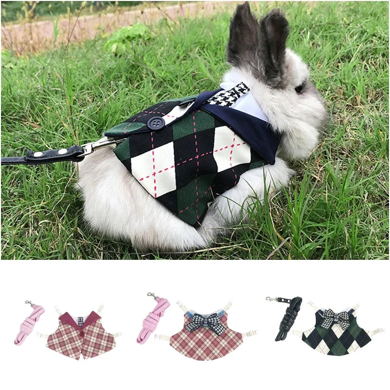 Preppy Style Pet Rabbit Harness and Leash - MyPetDollar.com
