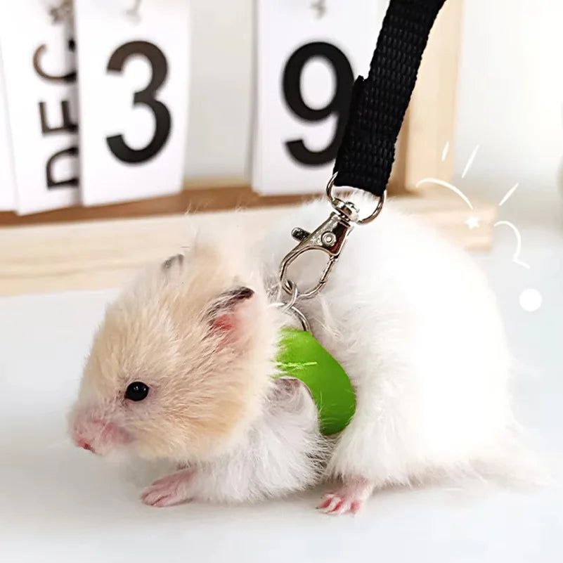 Set Escape-Proof Adjustable Collar for Pet - MyPetDollar.com