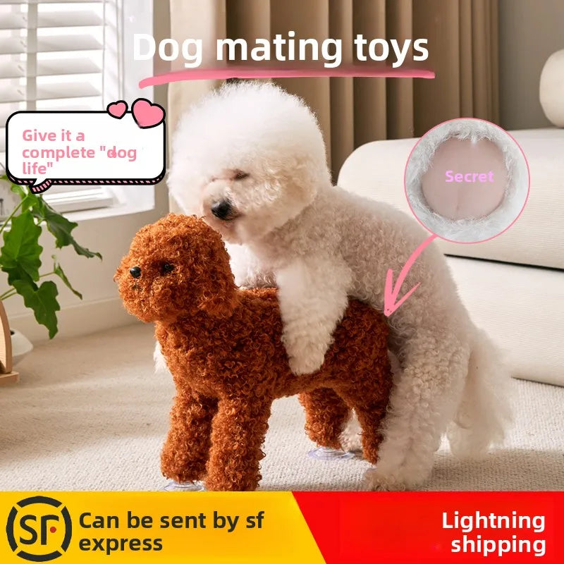 Soft Plush Riding Toy Relieve Small Male Dog - MyPetDollar.com