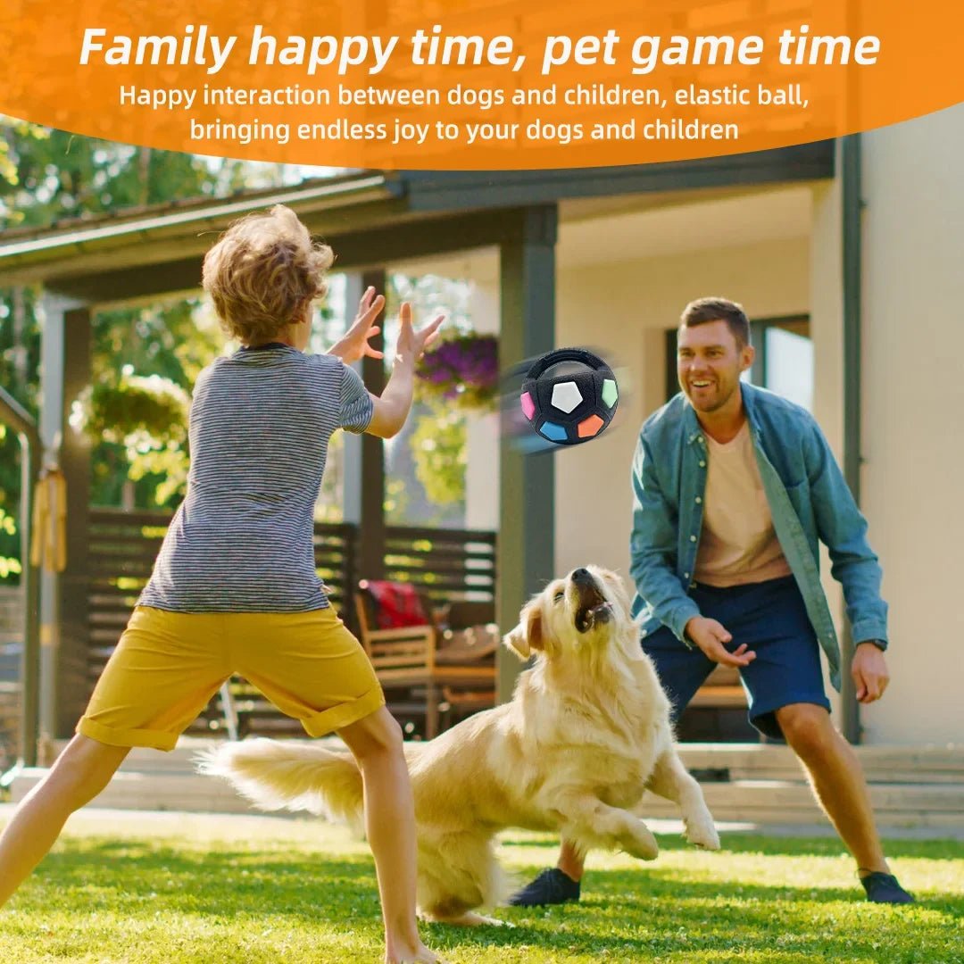 New Football Tennis Ball Shaped Pet Dog - MyPetDollar.com