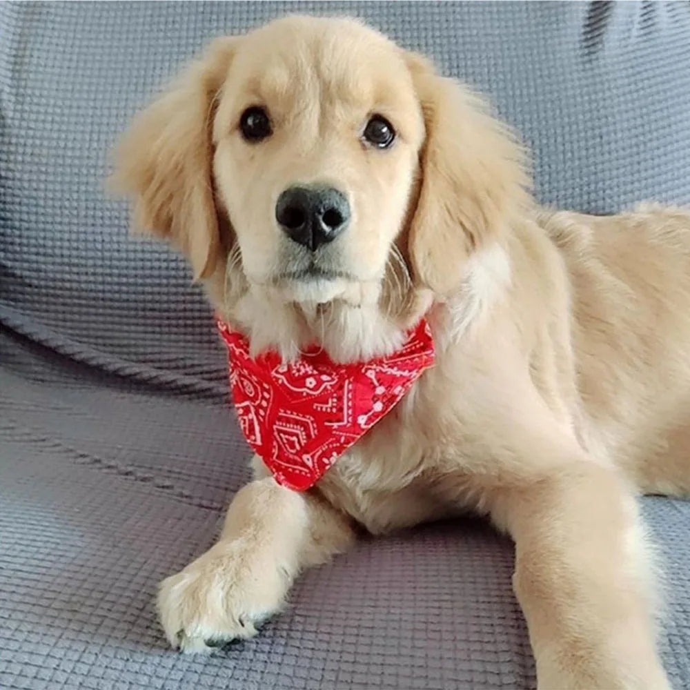 Dog Collar Bandana Scarf Collar Adjustable - MyPetDollar.com