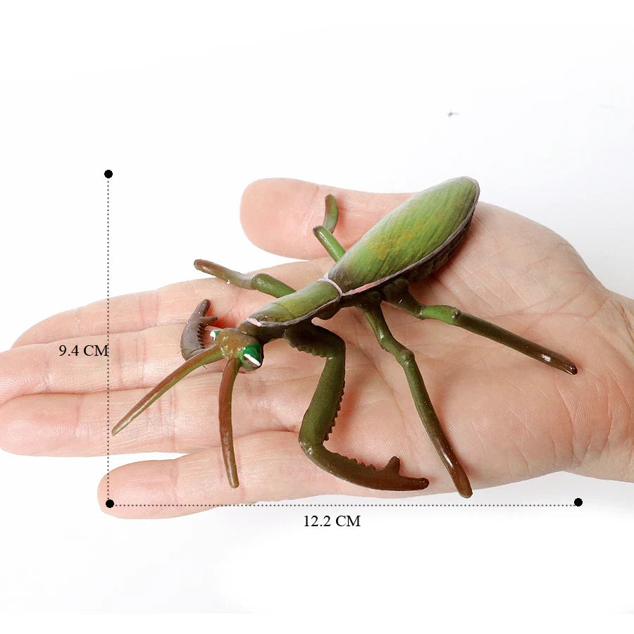 Realistic Insect Grasshopper Mosquito Cicad - MyPetDollar.com