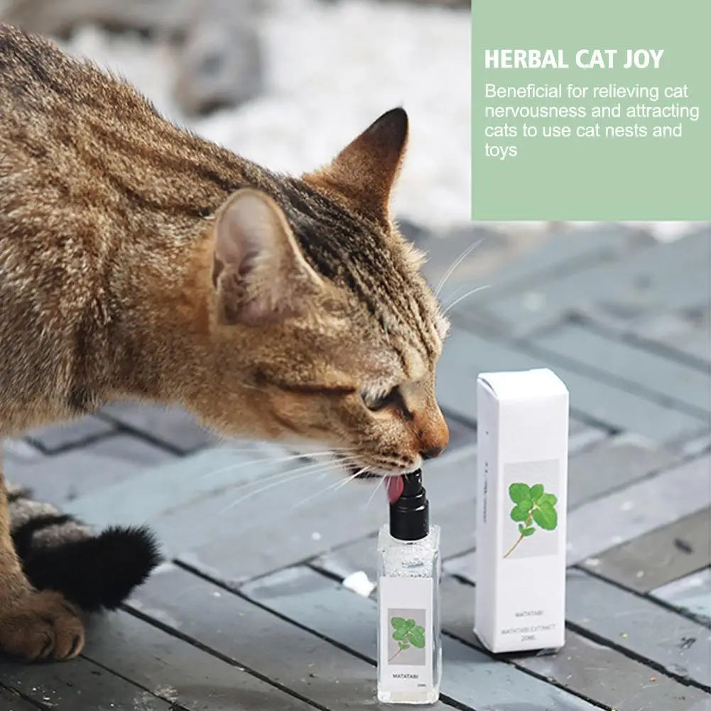 Cat Mint Spray Alleviates Cat's Anxiety and - MyPetDollar.com