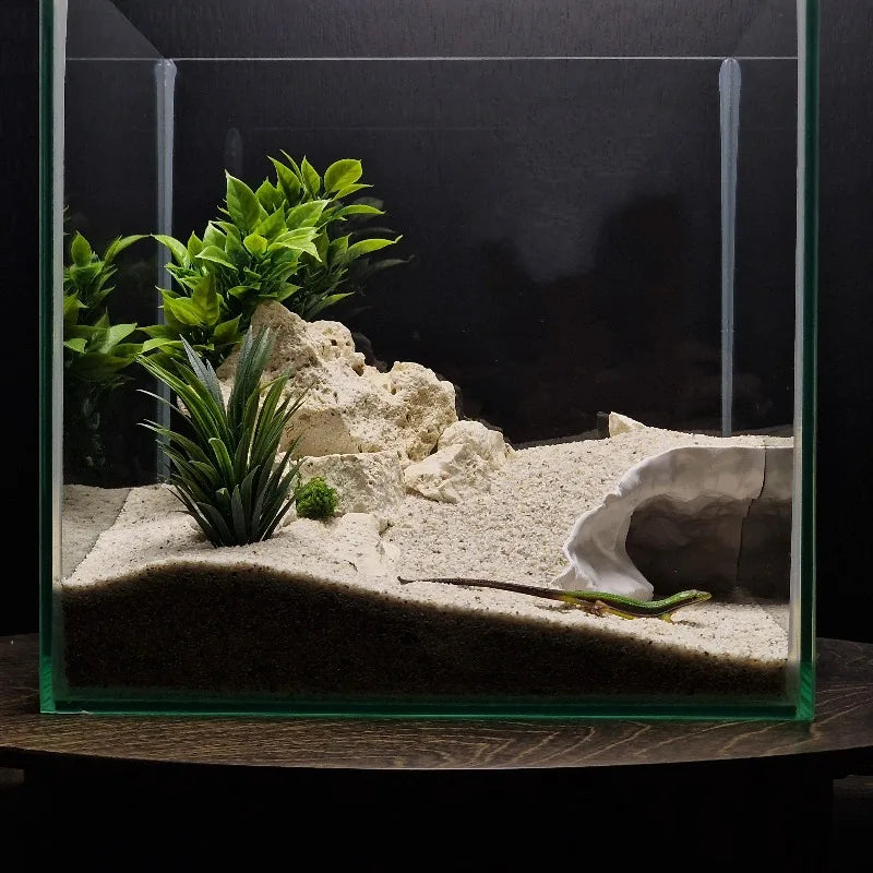 3D Printed High-Low Terrain Decor Dual-Use - MyPetDollar.com
