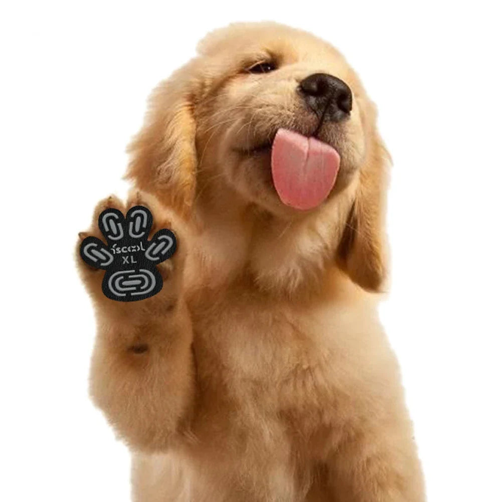 Dog Anti-slip Foot Patch Paw Pads Dog Paw - MyPetDollar.com