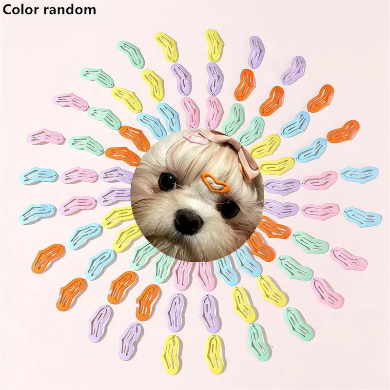 5/10/20pcs Dog Hair Clips Multicolor - MyPetDollar.com