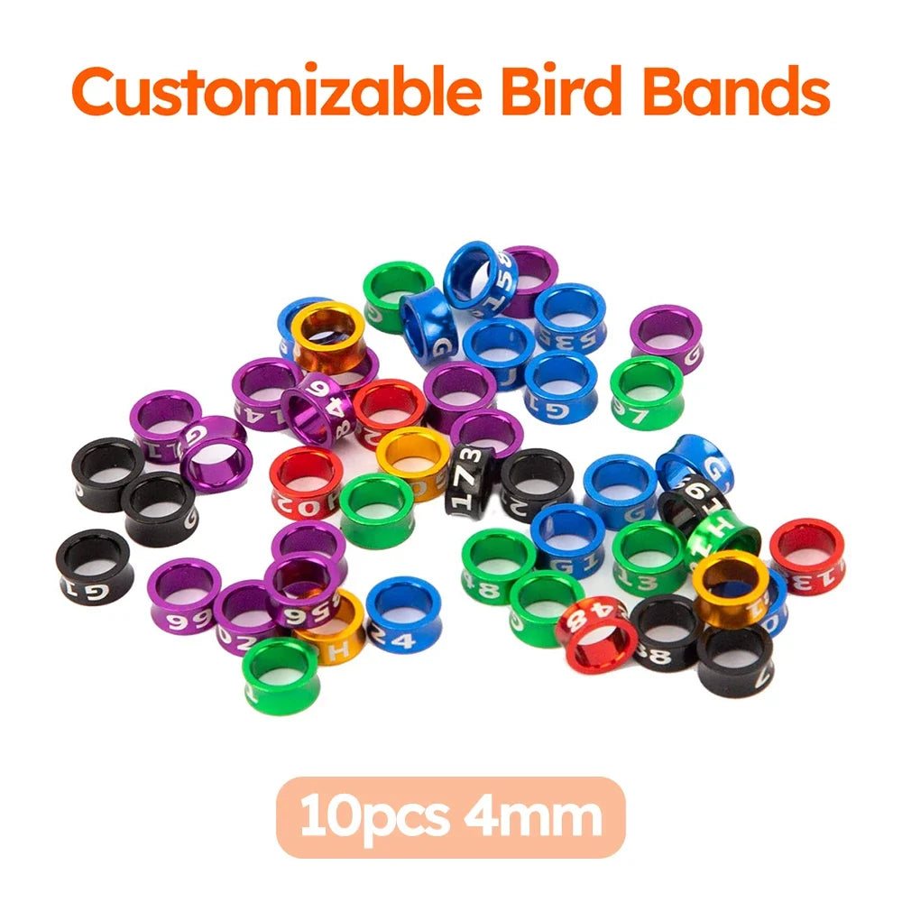 Customized Bird Rings, Durable Random Color Metal