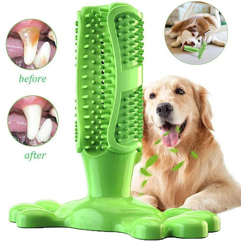 Pet Dog Cactus Interactive Rubber Bite - MyPetDollar.com
