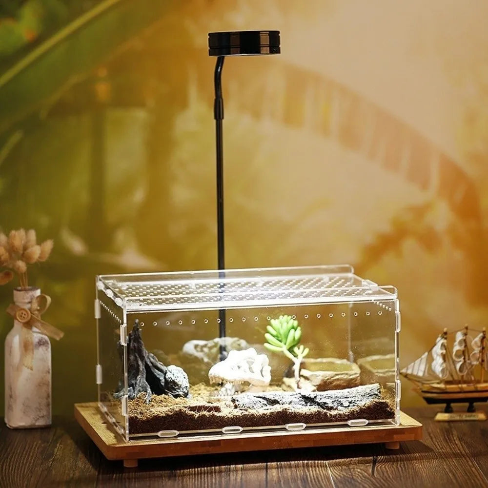 Transparent Reptiles Terrarium Ventilated - MyPetDollar.com