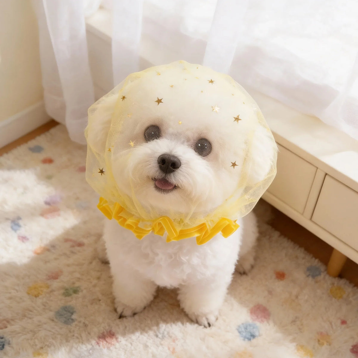 Pet Anti-accidental Ingestion Breathable Portable Outdoor Dog