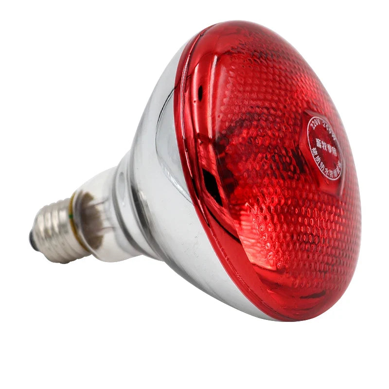 220V 100W/150W/200W/250W Thickened Heating - MyPetDollar.com