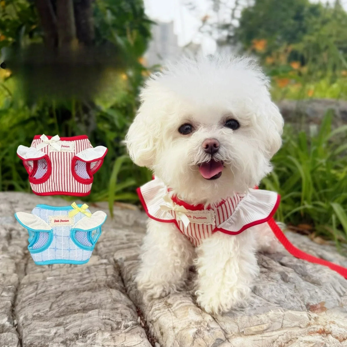 New Pet Cat Harness and Leash Set Adjustable - MyPetDollar.com