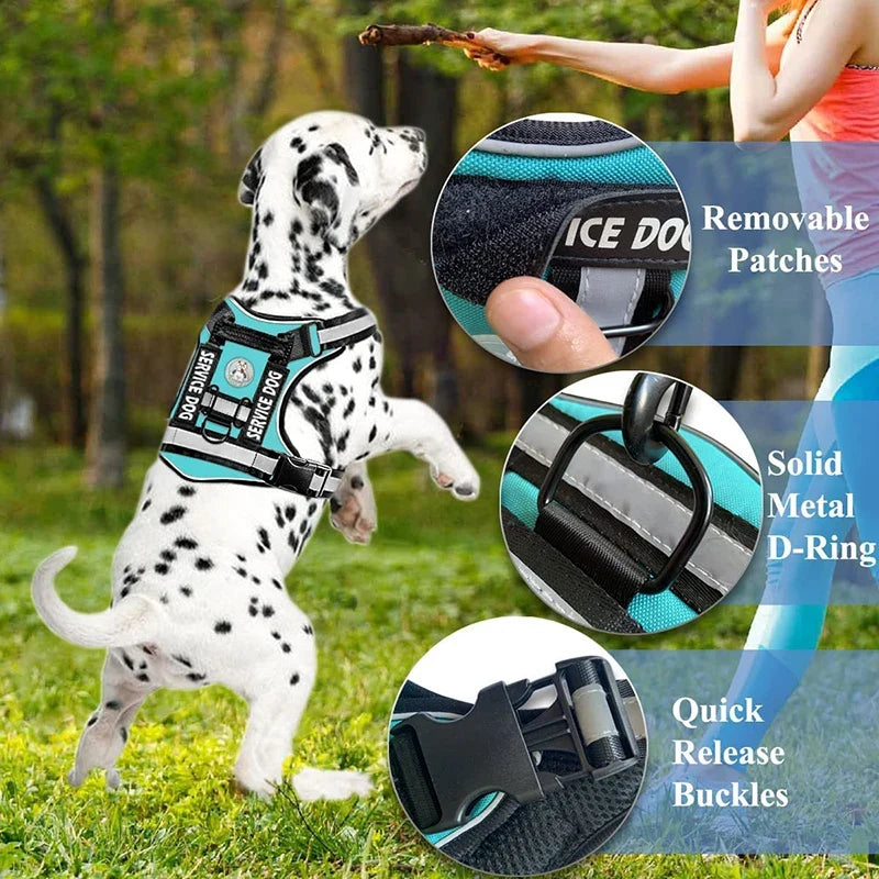 Doberman Dog Harness Collar Leash Set - MyPetDollar.com