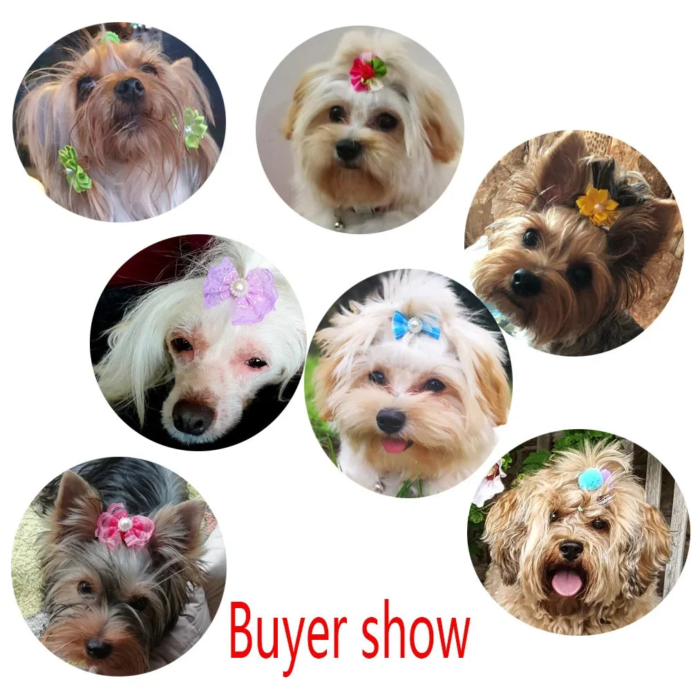 20pcs/lot Pet Dog Cat Hair Bows Mix Color - MyPetDollar.com