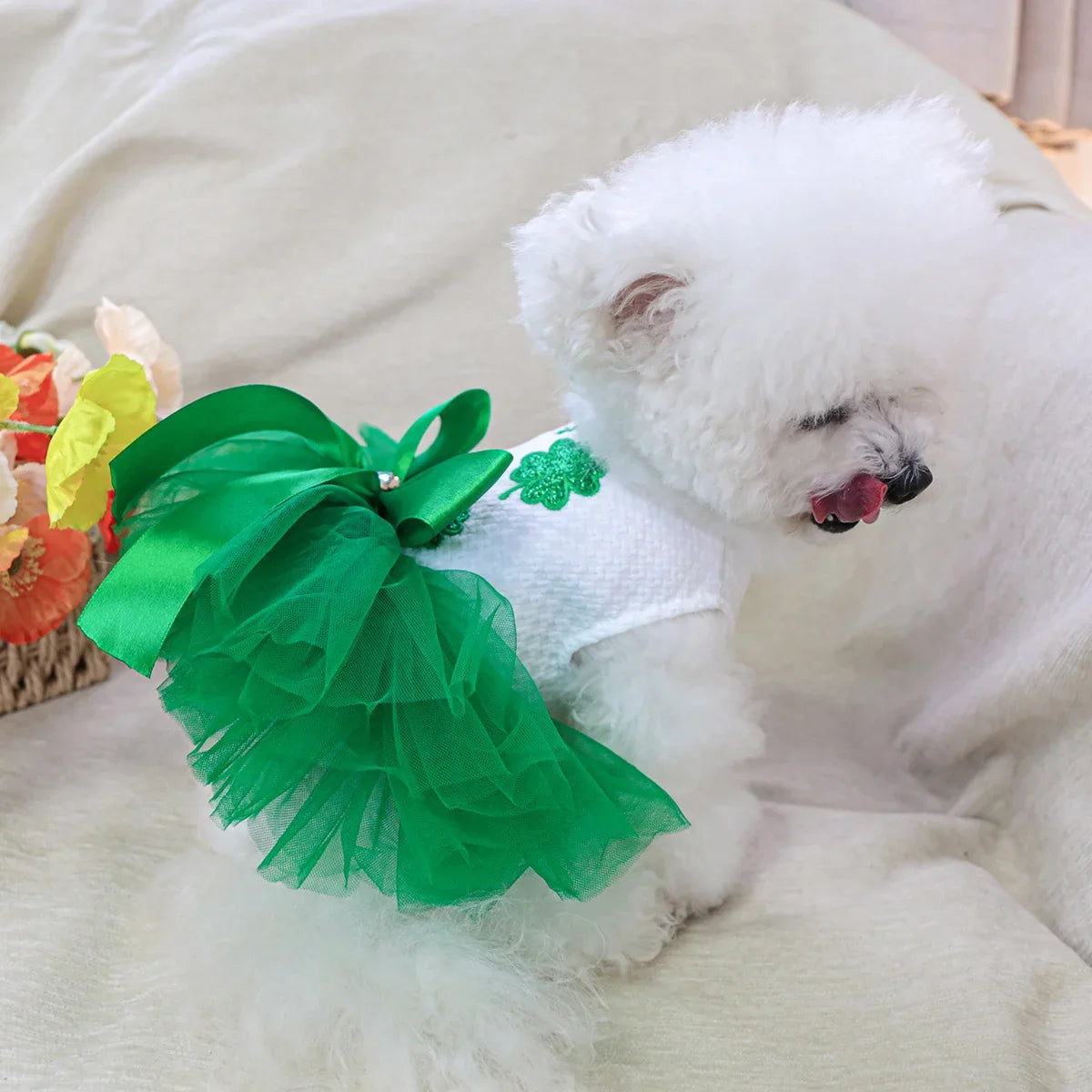 St. Patrick's Gauze Dress - Green Dress - MyPetDollar.com