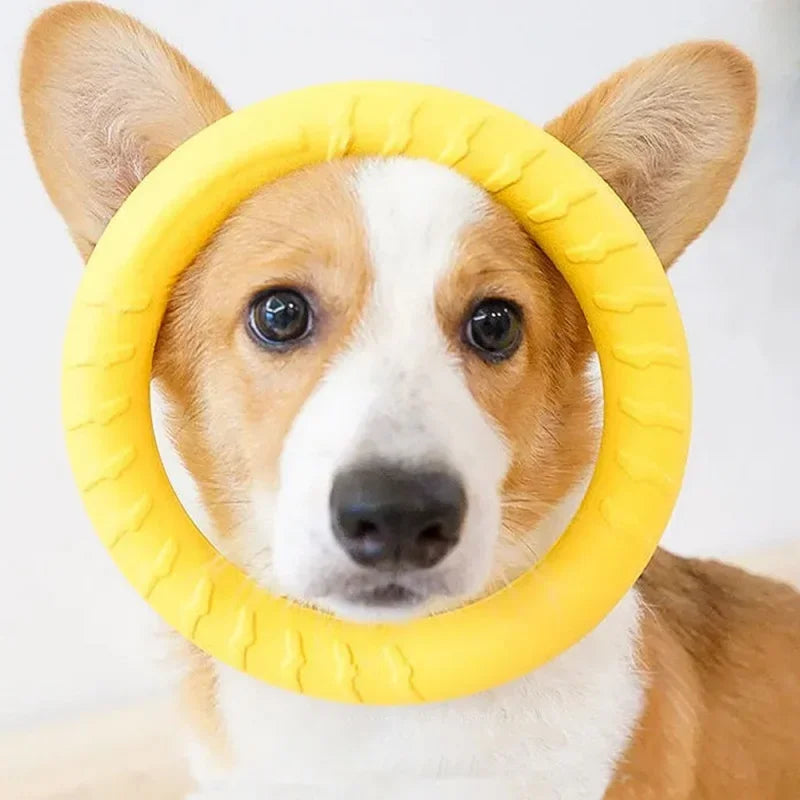 Dog Plaything Bite Resistant Touring Frisbee Training Consumes – Dog Supplies