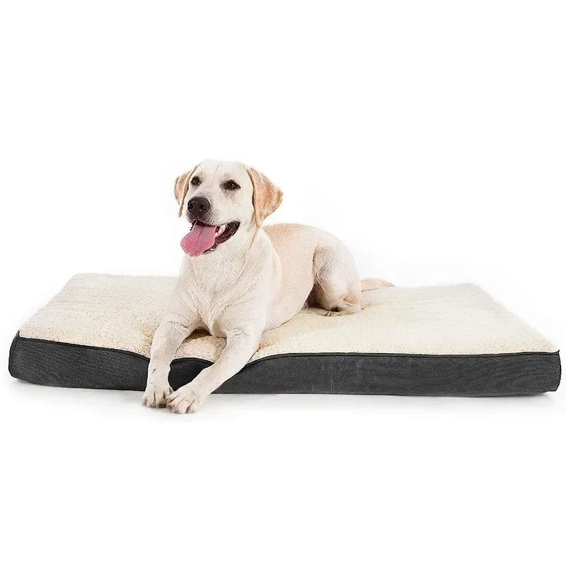 Washable Egg Memory Foam Pet Product Large - MyPetDollar.com