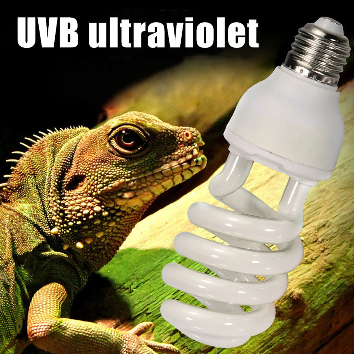 Reptile Heat Bulb Lamp Light High Intensity - MyPetDollar.com