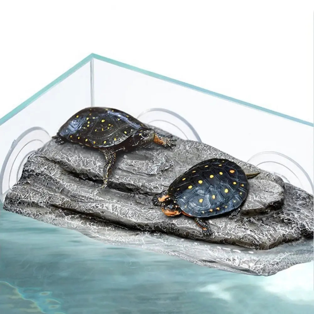 Simulation Rock Turtle Drying Platform Tree - MyPetDollar.com