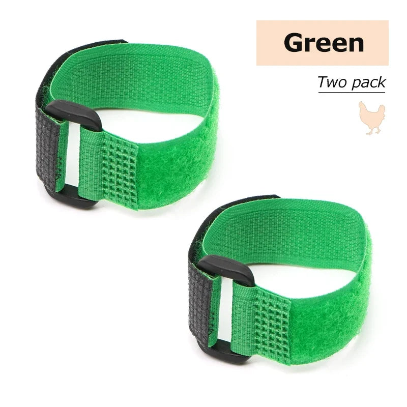 No Crow Rooster Collar – 5 Colors