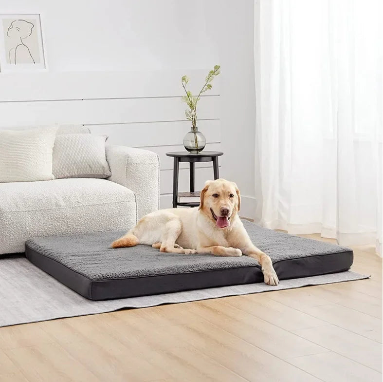Washable Egg Memory Foam Pet Product Large - MyPetDollar.com