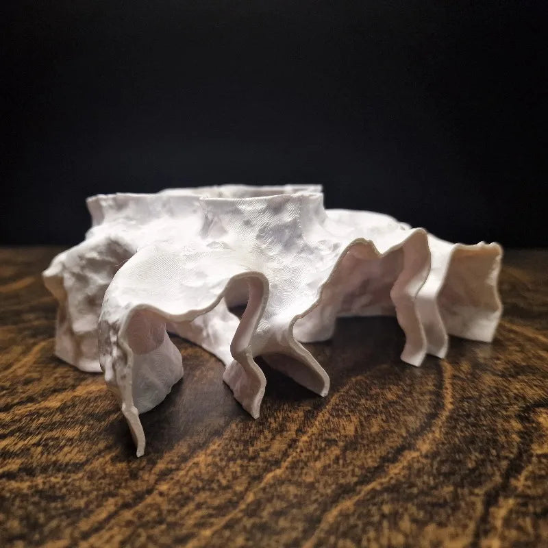 Fish Hiding House Aquascape Ornament - 3D - MyPetDollar.com