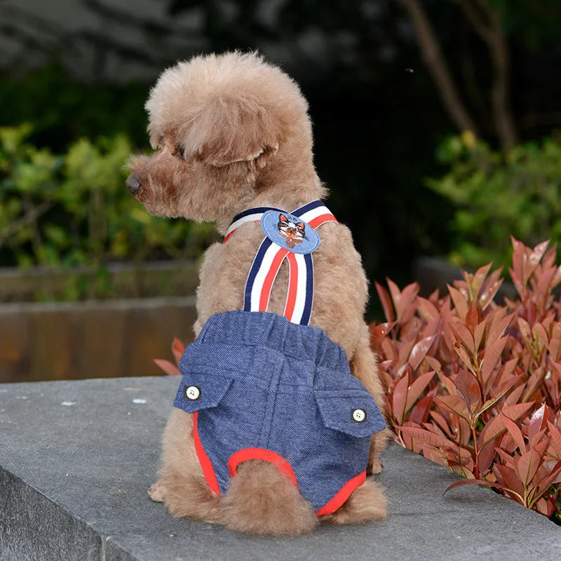 Cat Dog Female Panties Denim Strap Pet - MyPetDollar.com