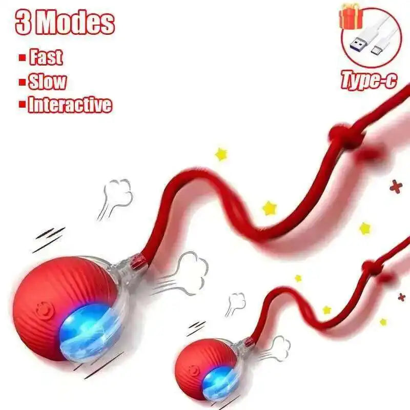 Smart Dog Interactive Ball Toys, Rechargeable