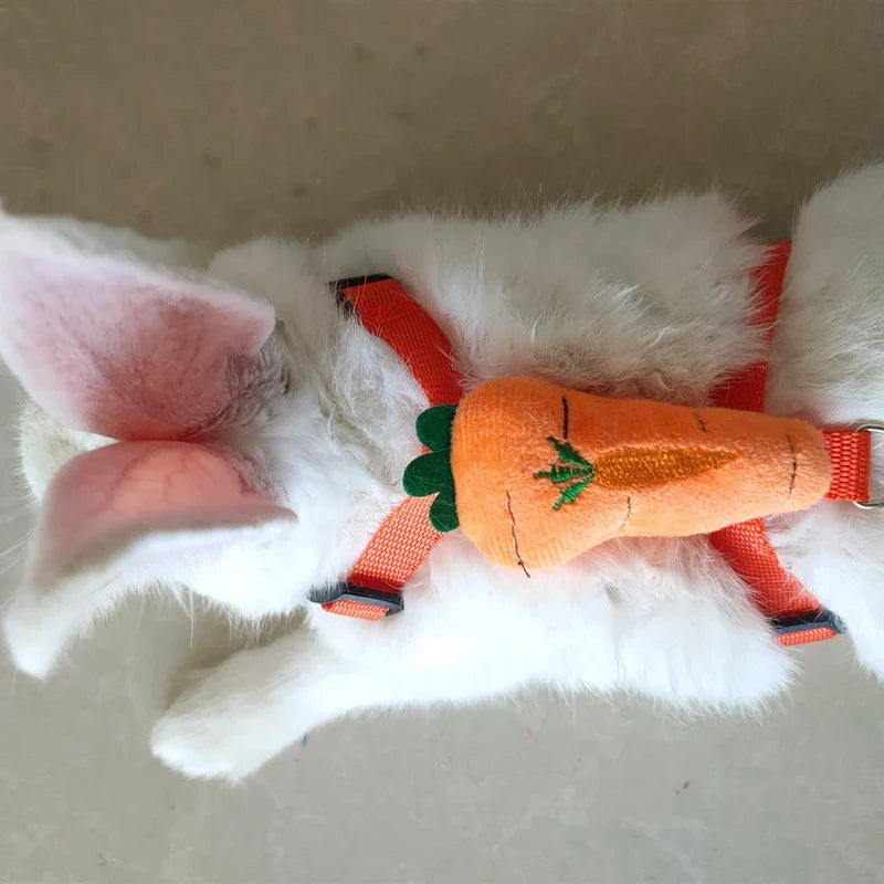 Small Animals Outdoor Wakling Supplies - MyPetDollar.com