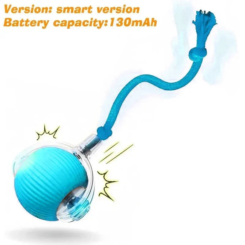 Dog Interactive Ball Toy Automatic Rolling - MyPetDollar.com
