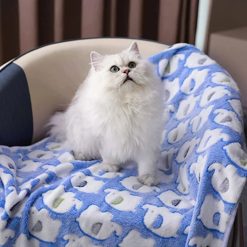 Pet Blanket Encrypted Fleece-lined - MyPetDollar.com