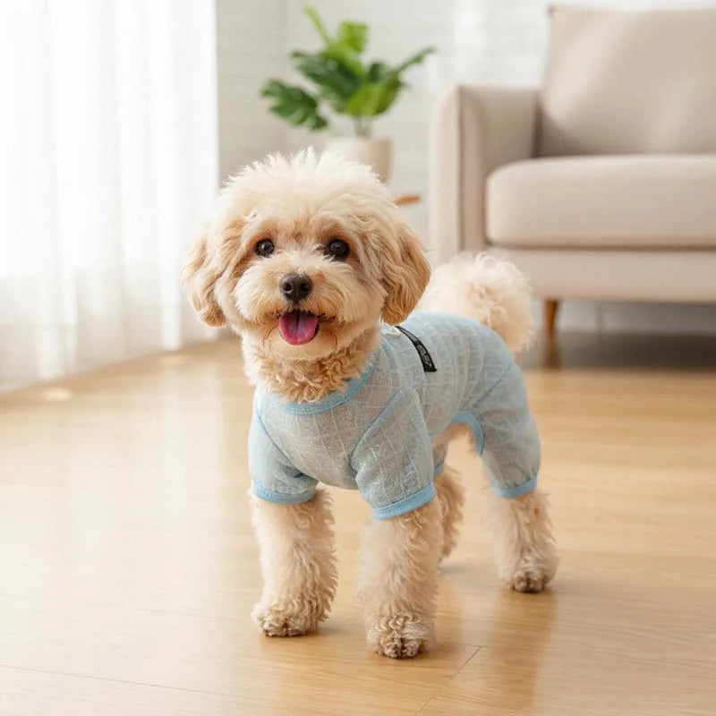 Summer Breathable Mesh Pet Jumpsuit With - MyPetDollar.com