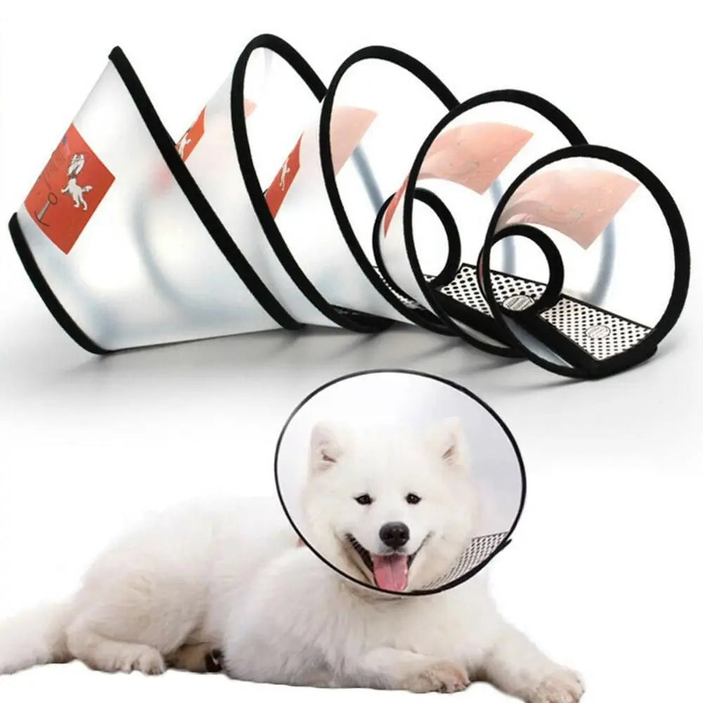 Medical Cats Dogs Health Surgery Wound - MyPetDollar.com