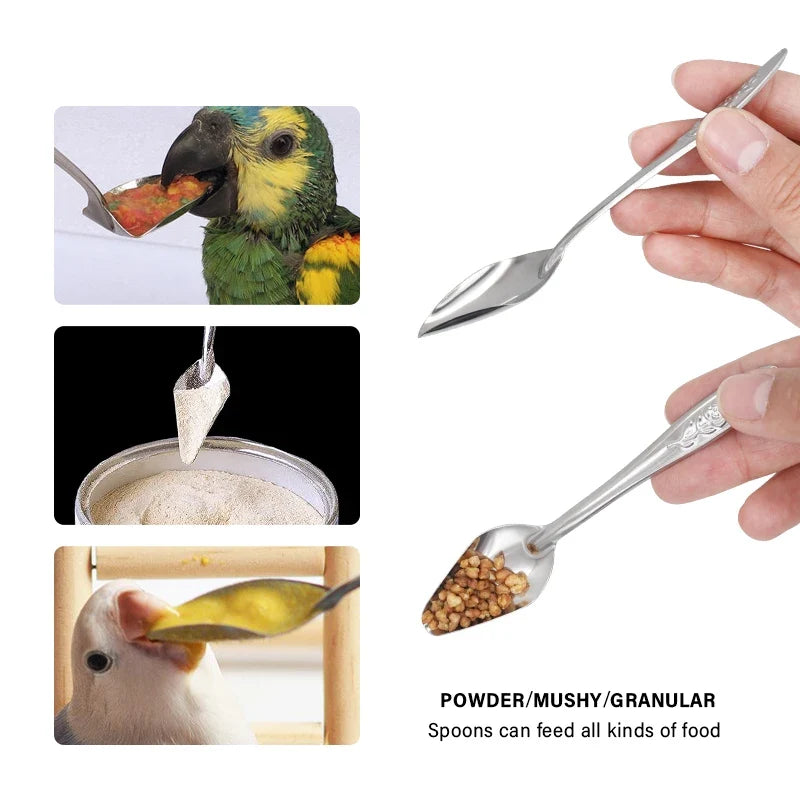 Bird Feeding Spoon Pet Bird Parrot Bird Cage - MyPetDollar.com