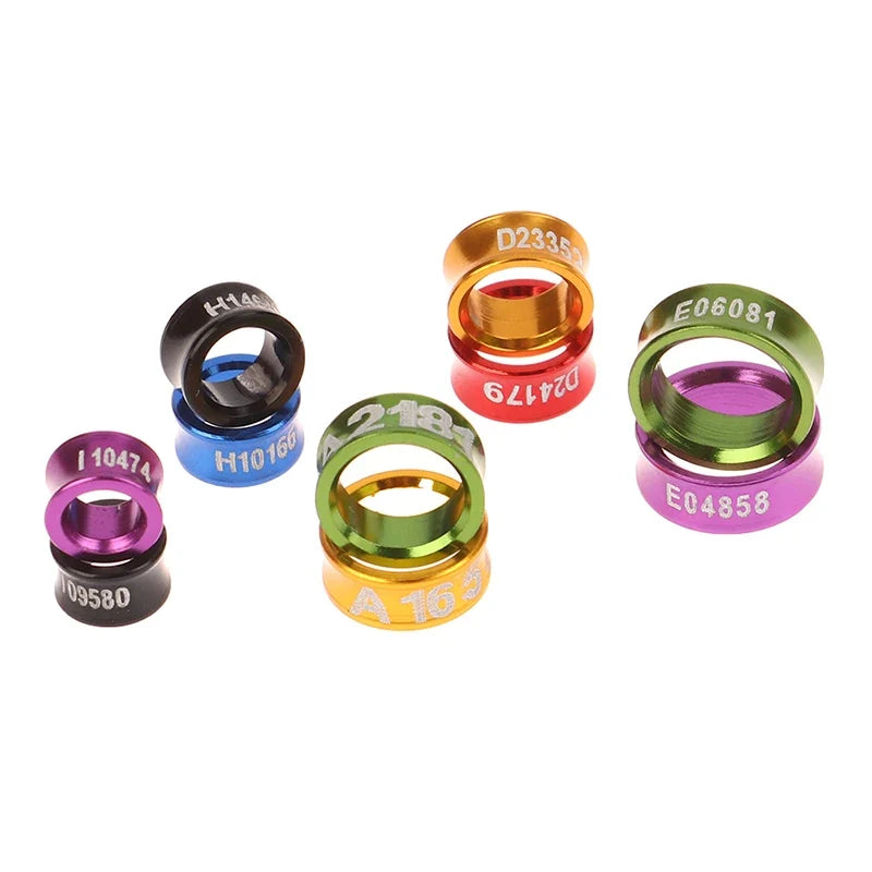 10Pcs Outdoor Bird Flying Training Ring - MyPetDollar.com
