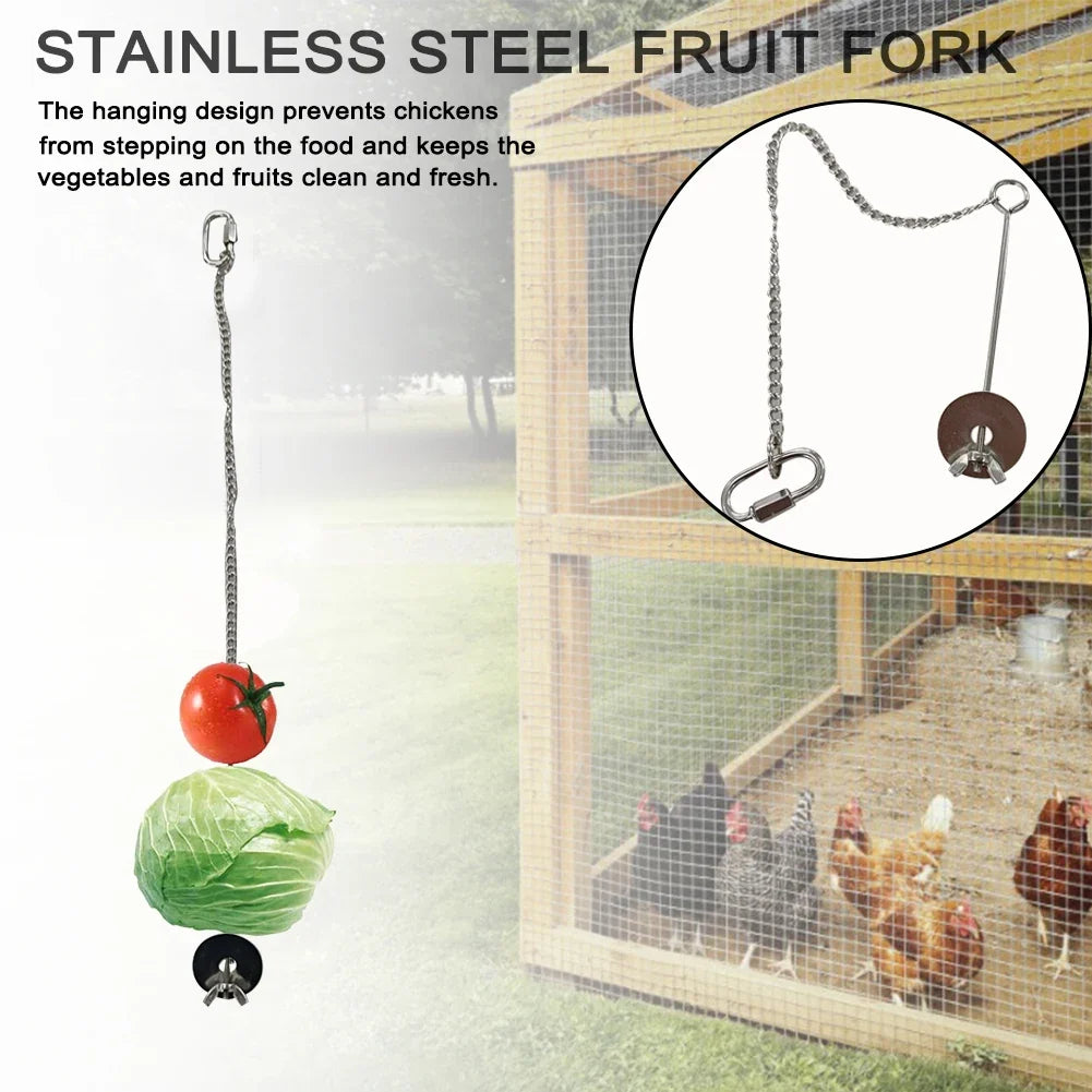 Pet Parrot Stainless Steel Feeder Fruit Corn - MyPetDollar.com