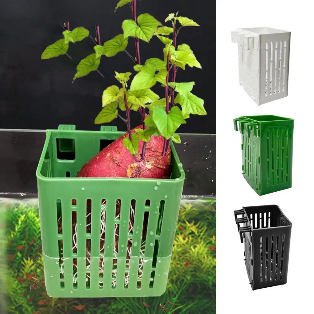 Plastic Aquarium Plant Stand Holder - MyPetDollar.com