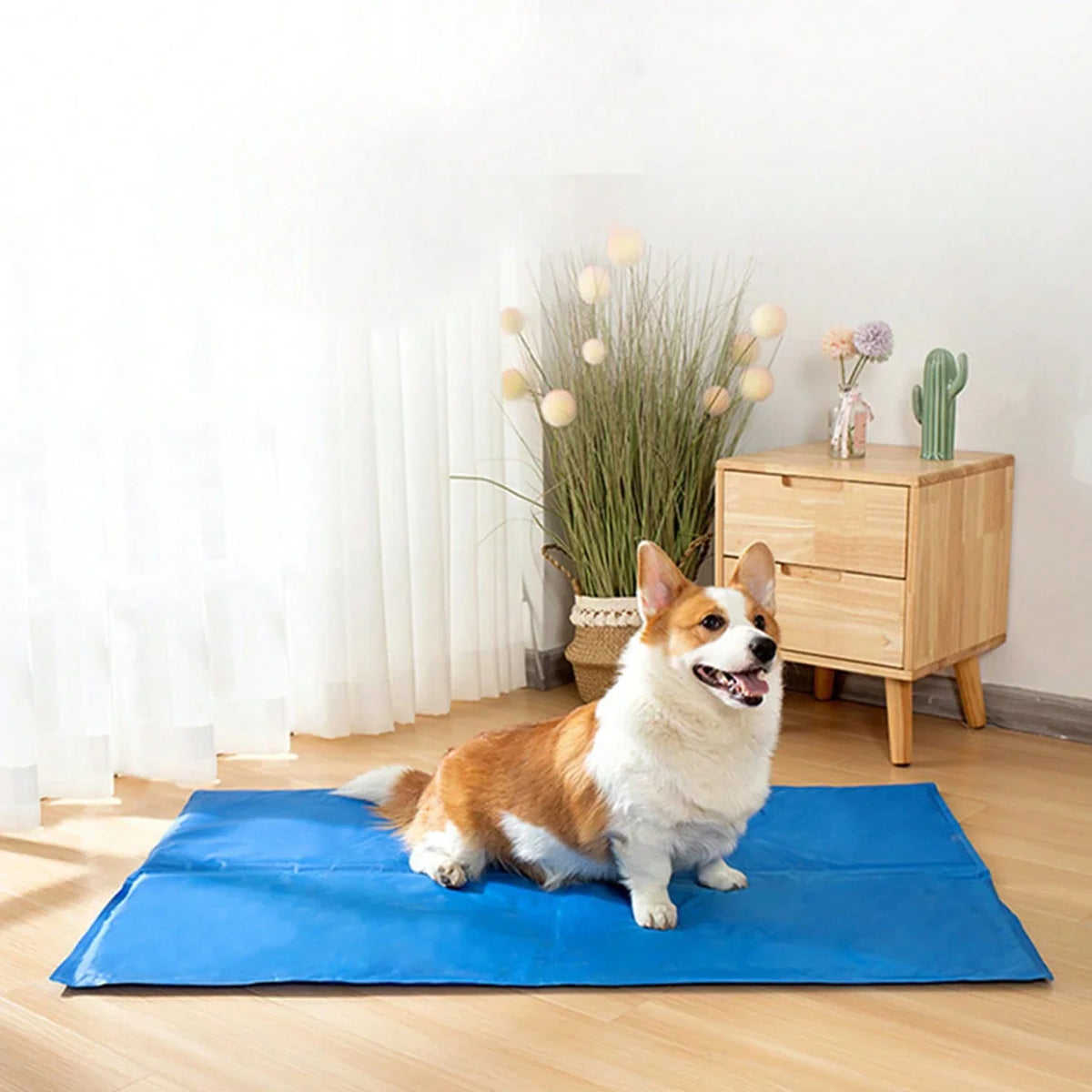1pc-Pet Cooling Pad, Self-Cooling Dog Bed - MyPetDollar.com