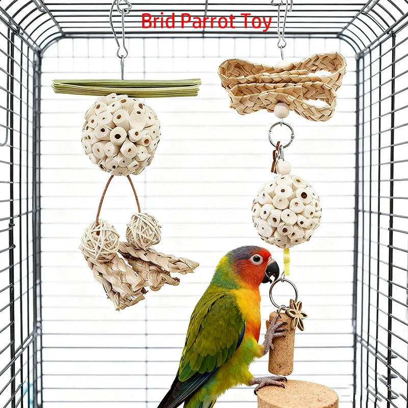 Funny Parrot Tongcao Ball Bird Chewing Toy - MyPetDollar.com