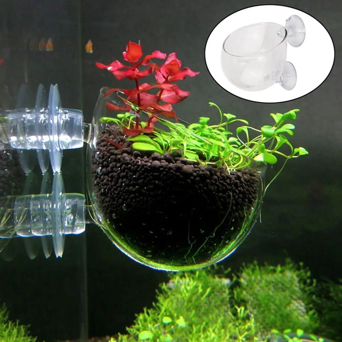 Acrylic Aquatic Plant Cups Aquarium Fish - MyPetDollar.com