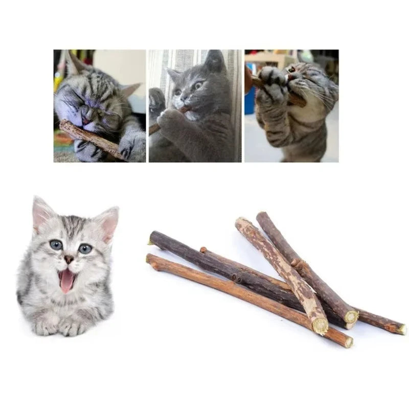Natural Silver Vine Chew Sticks Catnip Molar - MyPetDollar.com