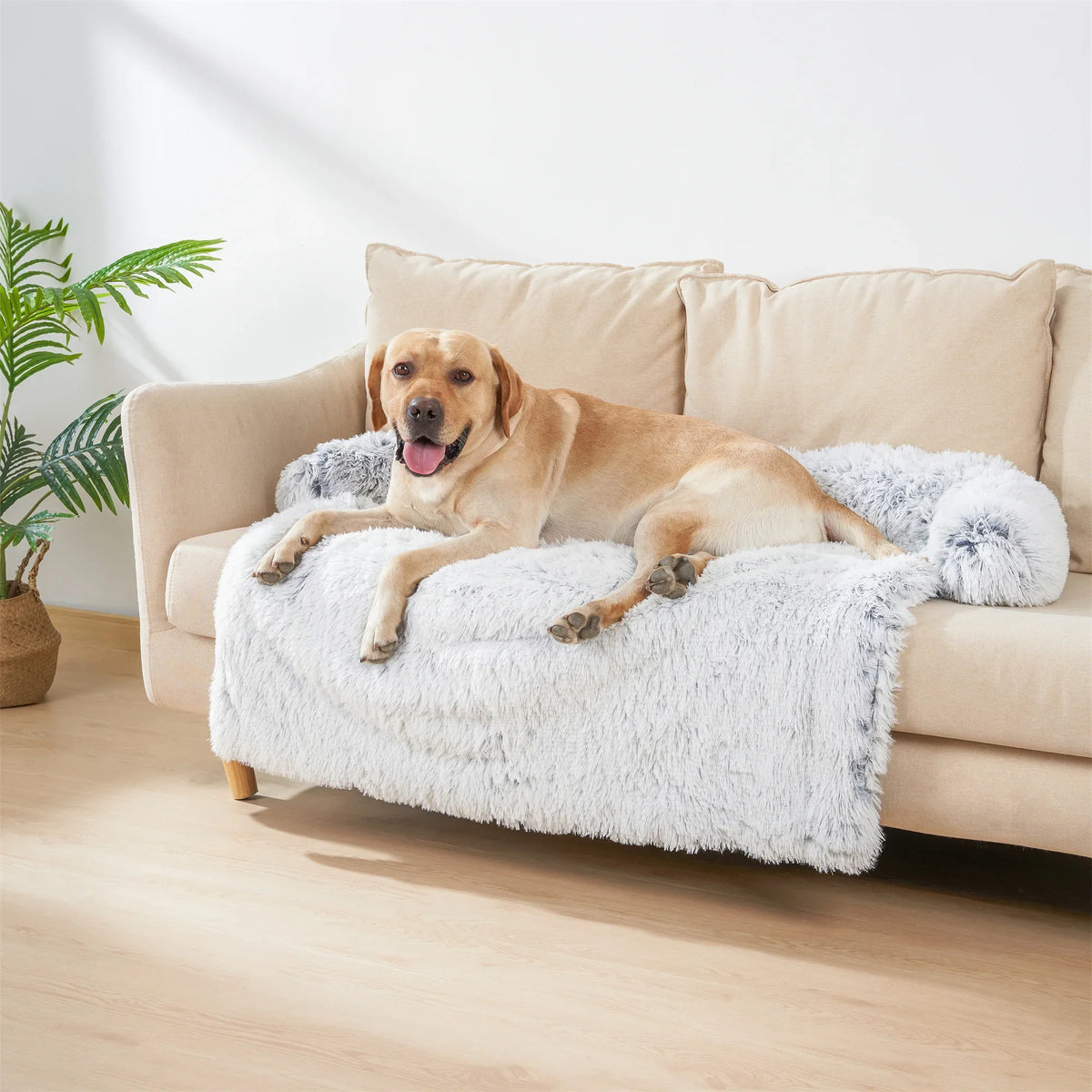 Pet Dog Bed Sofa For Dog Pet Calming Bed - MyPetDollar.com